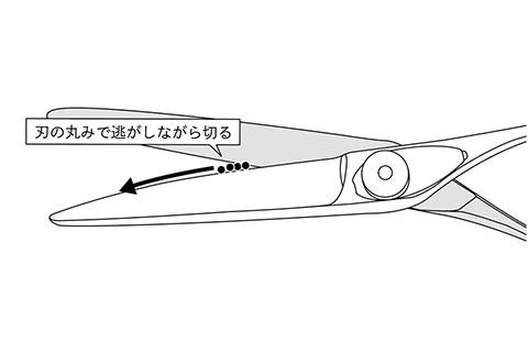 笹刃のイラスト