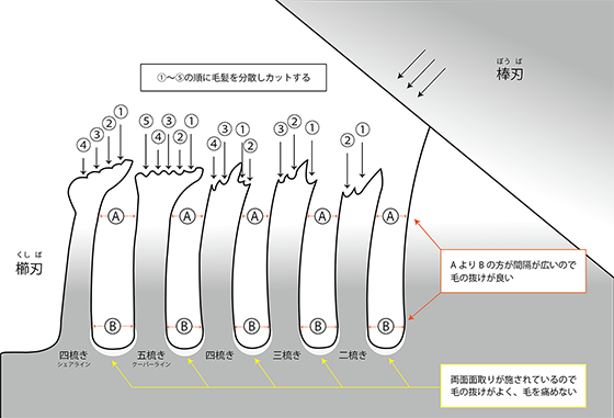 セニングシザーズのカットについての図